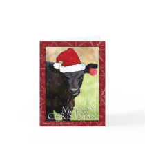 Moooo-y Christmas! cards