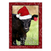 Moooo-y Christmas! cards