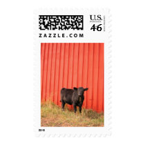 Mooooo Stamps