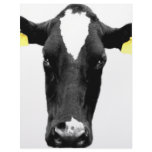 moooooo letterhead design