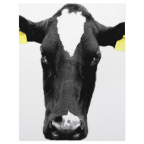 moooooo letterhead design