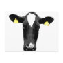 moooooo post cards