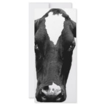 moooooo rack cards