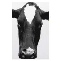 moooooo stationery