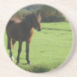 Moor Pony Coasters