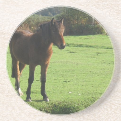 Moor Pony Coasters