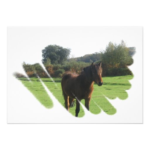 Moor Pony Invitation