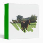Moor Pony on a Binder