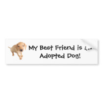 Moore Humane Society Bumper Sticker bumper stickers