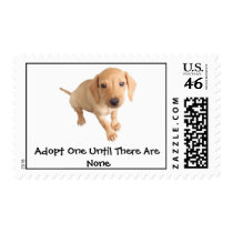 Moore Humane Society Postage Stamp