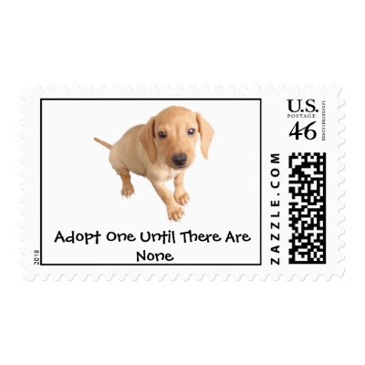Moore Humane Society Postage Stamp
