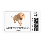 Moore Humane Society Postage Stamp
