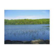 moore state park postcards