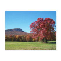 Moore's Knob at Hanging Rock State Park postcards