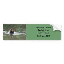 Moorhen and Reflection bumper stickers by Welshpixels Moorhen and Reflection bumper stickers