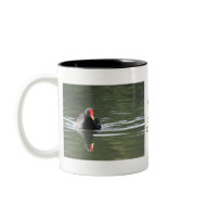 Moorhen and Reflection mug