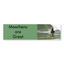 Moorhen bumper stickers by Welshpixels Moorhen bumper stickers