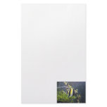 Moorish Idol Stationery Design