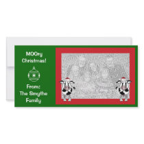 MOOry Christmas! Photo card.
