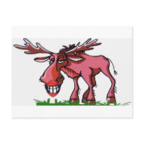 Moose Alaska Postcards