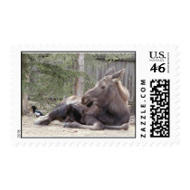 Moose and Bird postage by cbielen56 Moose and Bird postage