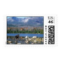 Moose and Mount Katahdin Stamps