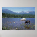 Moose and Mount Katahdin posters