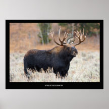 Moose and Squirrel "FRIENDSHIP"Motivational Poster