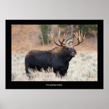 Moose and Squirrel "TEAMWORK" Motivational Poster