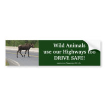 Moose Animal Protection Road Safety Bumper Sticker