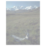Moose antler on the Burwash Uplands, Yukon Territo letterhead