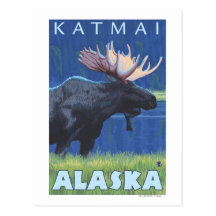 Moose at Night - Katmai, Alaska Post Card