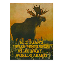 MOOSE AT SUNSET ~ UPPER PENINSULA TRAVEL POSTCARD postcards