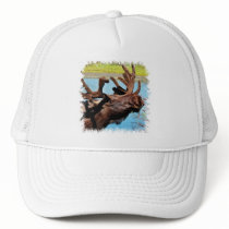 Moose Baseball Hat