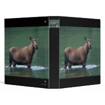 moose binders
