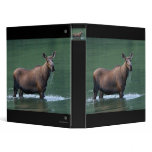 moose binders