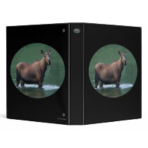 moose binders
