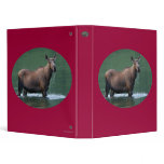 moose binders