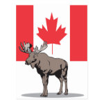 moose canada post card r8744fa9e0fd946c6accdba8d6c3af911 vgbaq 8byvr 150 Canada