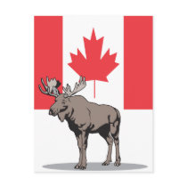 Moose Canada postcards by teyes143 Moose Canada postcards