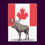 Moose Canada