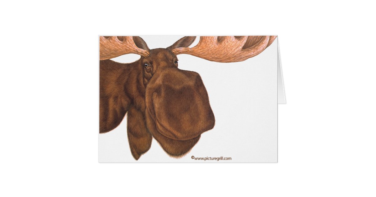 moose card Zazzle