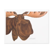 moose_card postcards by HaHaGreetings moose_card postcards