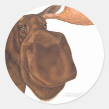 moose_card stickers