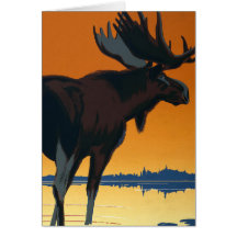Moose Cards