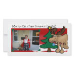 Moose Christmas Photo Card photo cards