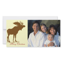 Moose Christmas photo cards