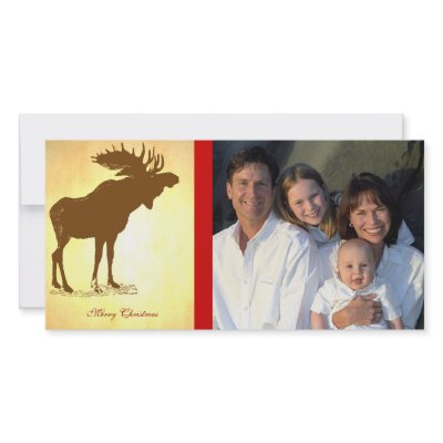 Moose Christmas photo cards
