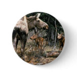 Moose cow with two calves buttons