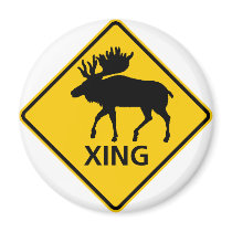 Moose Crossing Highway Sign magnets